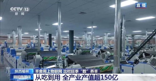 物聯(lián)網(wǎng)與人工智能賦能智慧羊舍 技術(shù)革新驅(qū)動養(yǎng)羊業(yè)出欄旺季高效增長