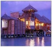 【廠家直供】仿真茅草瓦與仿真樹皮 引領環保建筑裝飾材料新潮流